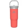 Stanley The Iceflow Flip Straw Tumbler - Insulated Mug -Outdoor Equipment Series stanley the iceflow flip straw tumbler insulated mug